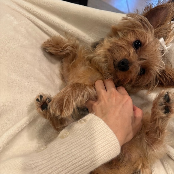 Meet your Posher, Erica. - Picture 6 of 6